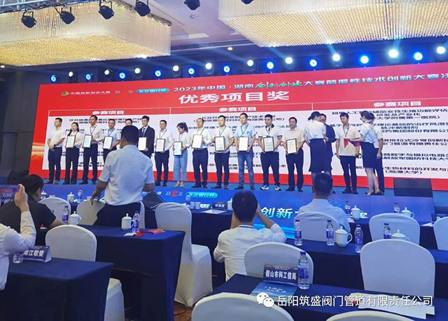 熱烈慶賀我公司榮獲省顛覆性技術(shù)創(chuàng)新大賽“優(yōu)秀項目獎”！